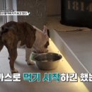 건축사사무소두림