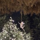 삼춘 | 보롬왓 트리 구경 후 찾은 함덕 흑돼지 맛집, 제주삼춘 솔직 후기