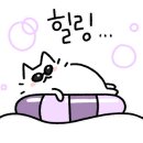 왕피천블루베리농원;까페 이미지