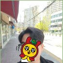 브로스헤어