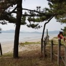 서해자동차 이미지