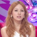 온양칼라 이미지