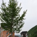 정각산 벨리 이미지