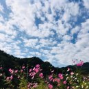 바다에걸린별 이미지