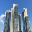 성동구 임장길 2편. 응봉산 정상 꼭 가기, 서울숲, 성수동 트리마제