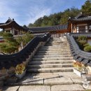 강원평창농원 이미지