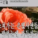 김수철-내일[노래방] 이미지