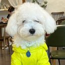 에이바이드 (Abide) 이미지