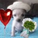 구황작물 이미지