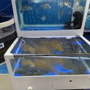 태광회수산 이미지