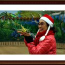 꽃지가는길 이미지