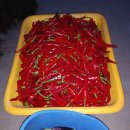 버드네농장 이미지