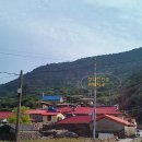 흑산도사리수산 이미지