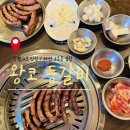창원 | 마산 오동동 왕코등갈비 후기 창원 노포 등갈비 맛집으로 추천