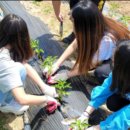 가납초등학교 이미지