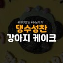 댕수성찬 이미지