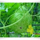 성현목장 이미지