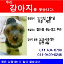 복자 - 광양시 서천변로 28 | 복자