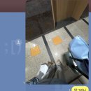 별내우리약국 | 만타가오리..