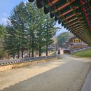 뚜벅이여행 원주 구룡사 템플스테이 간 후기