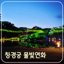 홍화각기 | 고궁 빛의 향연 창경궁 야간 탐방 프로그램 물빛연화 연말까지 상시 운영 일정