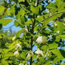 송현공원 이미지