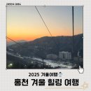 2025 홍천 겨울 힐링 여행 1박 2일 : 비발디파크 스노위랜드, 느티나무, 그림정원