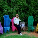 홍가농장 이미지