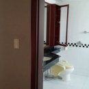 현대카멜리아,오뜨 이미지