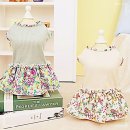 시원애견 이미지