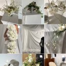 W1.윤시네마 x 페페 x 심을 웨딩스냅 계약 후기(제주 야외촬영)