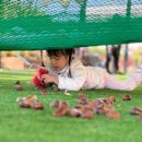 알프스하이디어린이집 이미지