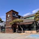 춘천시 청소년여행의집 | 춘천여행 맛집 "춘천 통나무집 숯불닭갈비" 방문후기 | 구운닭갈비 막국수 더덕구이