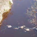 형산축산 이미지