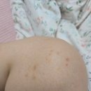 라인댄스(수요반)(1) | 직장인 여자 운동 추천 | 폴댄스 후기·가격·효과 총정리