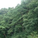 옹달샘 이미지