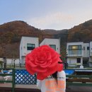 무주카라반 이미지