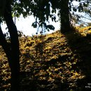 대암목장 이미지