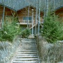 통고산자연휴양림 이미지