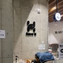 해브잇(Have It) 이미지