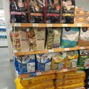 도리도리펫샵 | < 단풍&amp;나무 :: 이마트 몰리스펫샵 쇼핑 후기 >