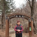 홍삼향기풍기네