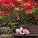 한옥마을주유소 | 전주 당일치기 혼여행 코스 추천｜완산칠봉꽃동산 현대옥본점 한옥마을 주차