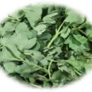 김포에이치(H)병원 이미지