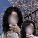 죽지도 않고 또 온 히피펌 한달반 강추 후기 | 구리 미용실 | 컬유지 헤어오일 추천