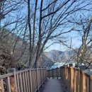 호수길 걷기명상 이미지