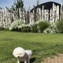 토르스테이 이미지