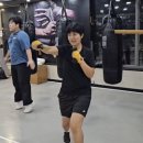 판교스타복싱 이미지