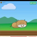 카우카우 - 원주시 천매봉길 106 | 카우카우