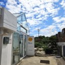 코코넛그루브 | 속초 카페 휘낭시에가 맛있는 코코넛그루브